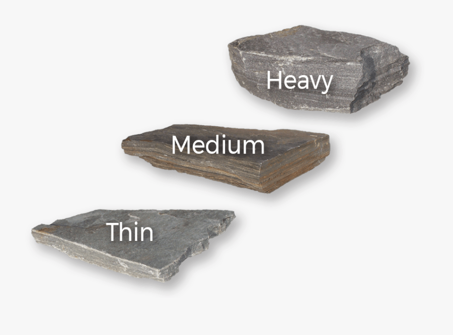 Hardwood, Transparent Clipart