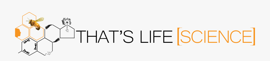 Thats Life Science An Interdisciplinary Life Science - That's Life Science, Transparent Clipart