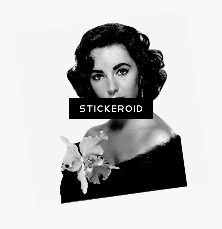 Elizabeth Taylor, Transparent Clipart