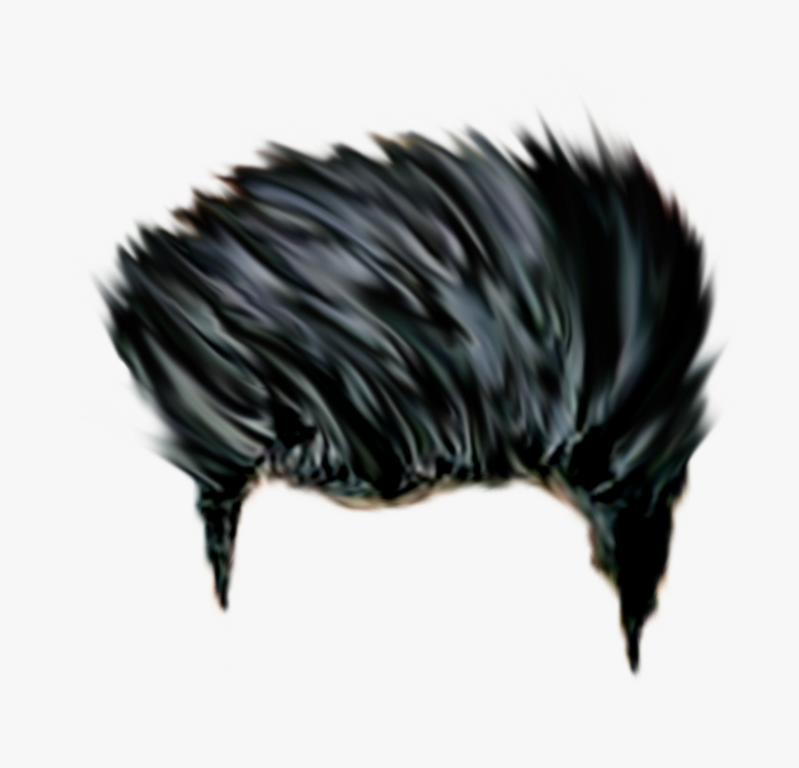 Png Cb Hair Hd, Transparent Clipart