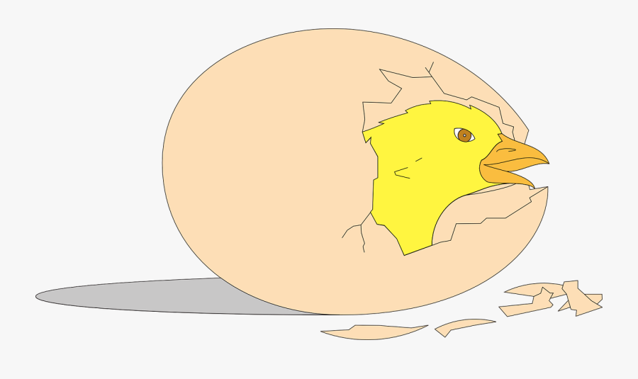 Chick Shell Hatching Free Picture - Gambar Animasi Telur Ayam Menetas, Transparent Clipart