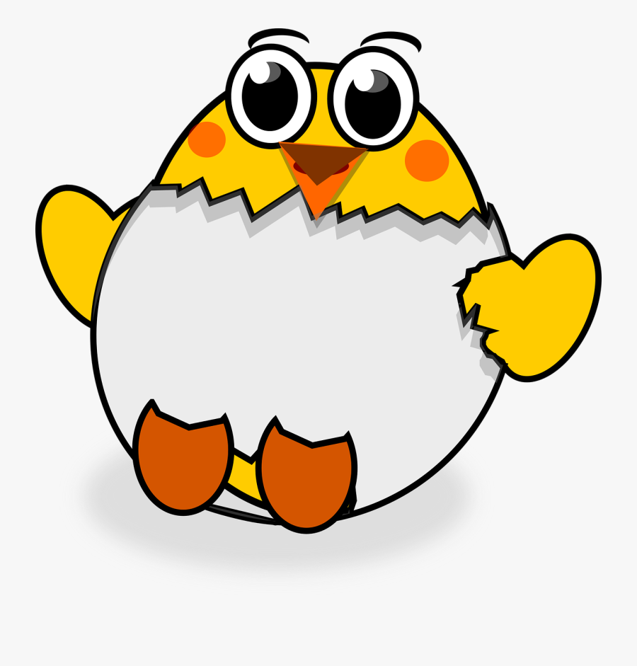Chicks, Hatched, Chicken, Egg, Shell, Bird - Egg, Transparent Clipart