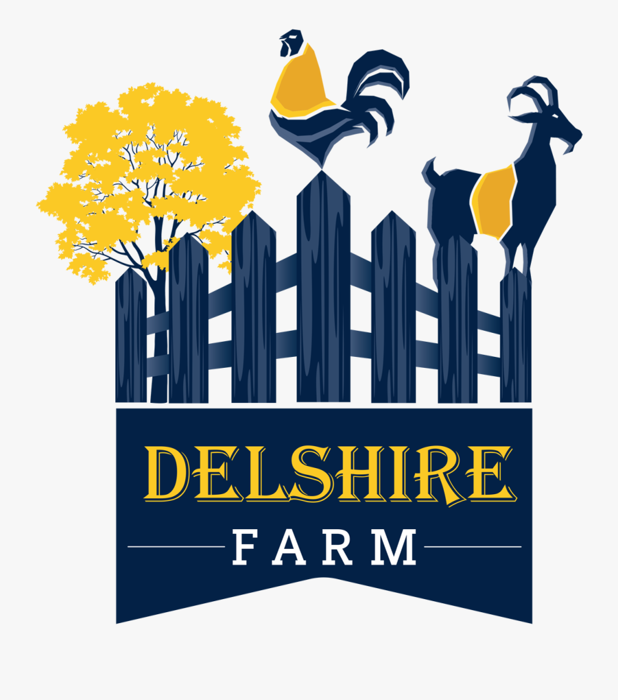 Graphic Design, Transparent Clipart