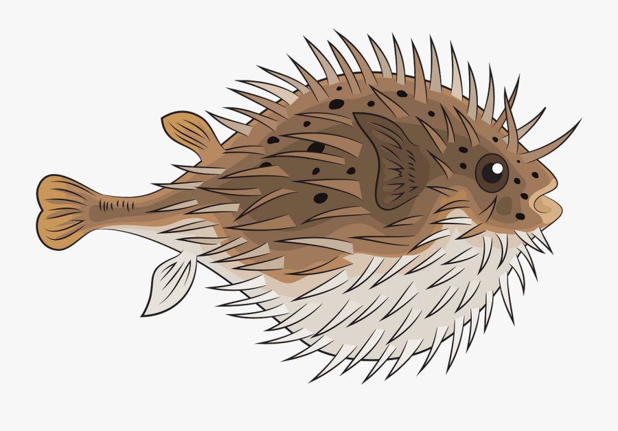 Porcupine Fishes, Transparent Clipart