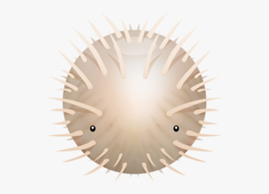 Icon, Transparent Clipart