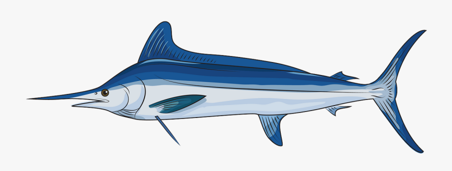 Atlantic Blue Marlin, Transparent Clipart