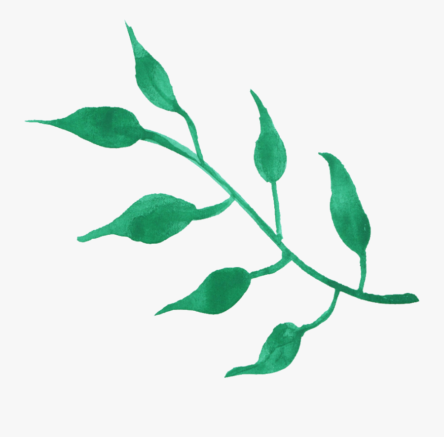 Transparent Leaf Pile Png - Png Transparent Leaf Watercolor Png, Transparent Clipart