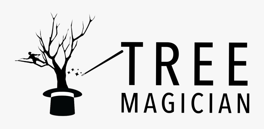 Tree, Transparent Clipart