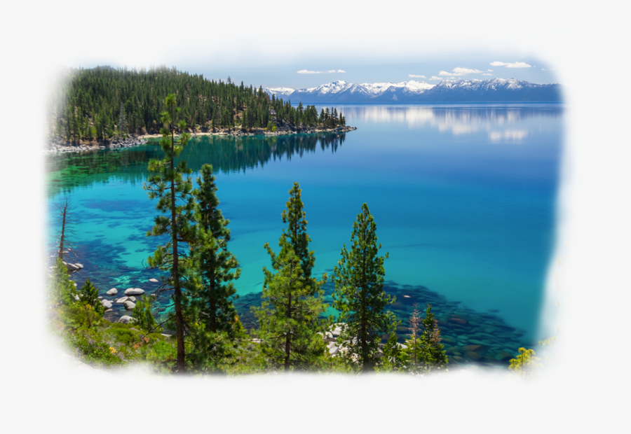Transparent Skyy Vodka Png - South Lake Tahoe, Transparent Clipart