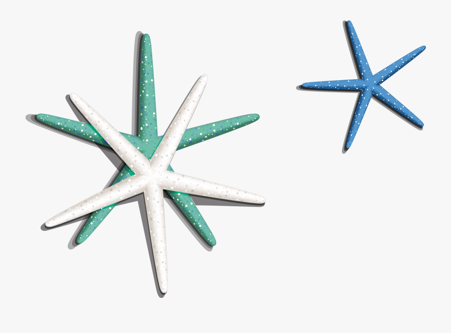Transparent Sea Star Png - Starfish, Transparent Clipart