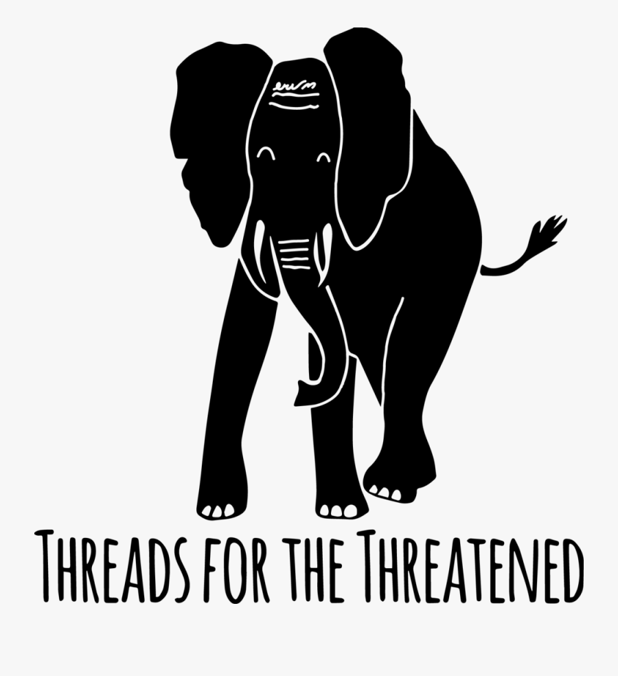 Transfer Baby Elephant - Indian Elephant, Transparent Clipart