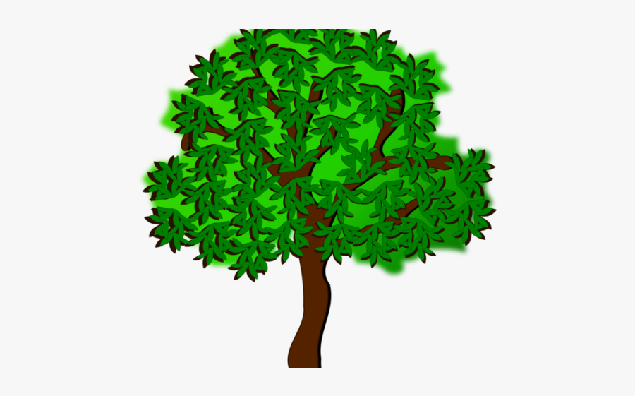 Tree Color Drawings, Transparent Clipart