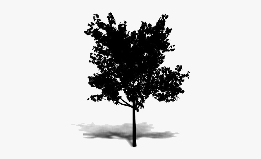 Summer Tree Png Transparent Images - Axonometrie Tree, Transparent Clipart