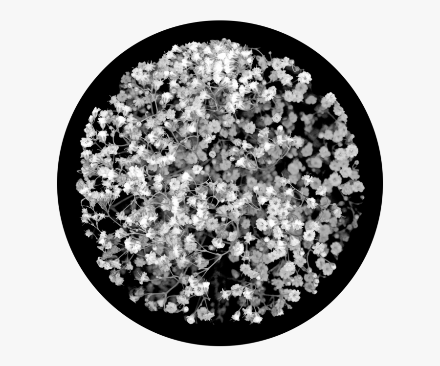 Transparent Glass Break Png - Artificial Flower, Transparent Clipart