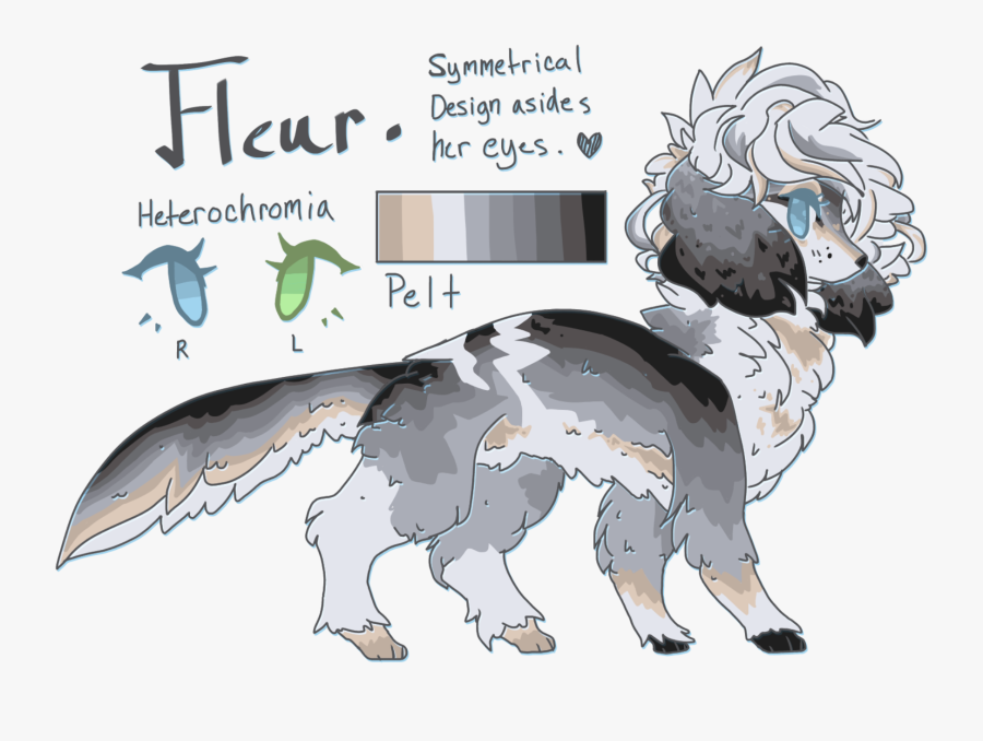 Babys Breath Clipart, Transparent Clipart