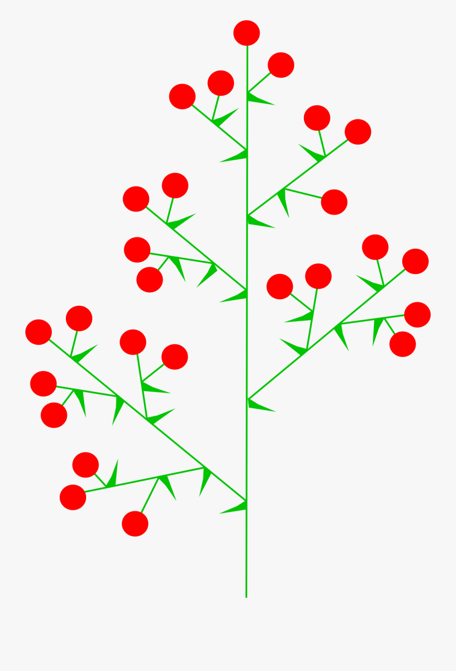 Panicle Inflorescence, Transparent Clipart