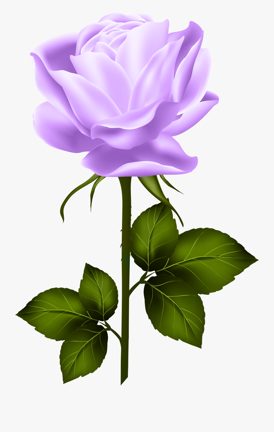 Clip Art Purple Stem Flower - Pink Stem Rose Transparent, Transparent Clipart