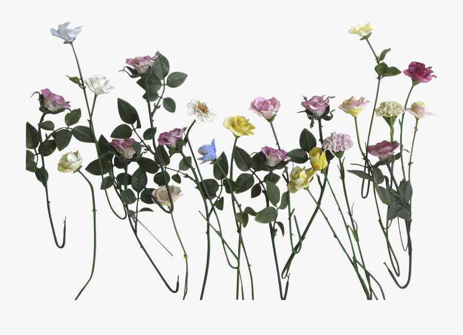 Flower Stems Png - Flowers With Stems Png, Transparent Clipart