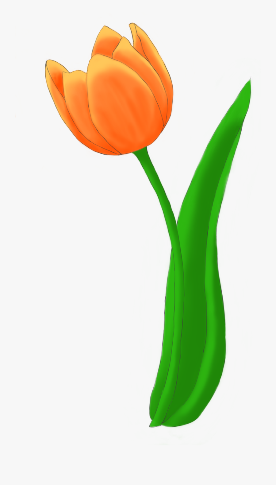 Tulip Bouquet Example Image - Example Of Flower Clipart, Transparent Clipart