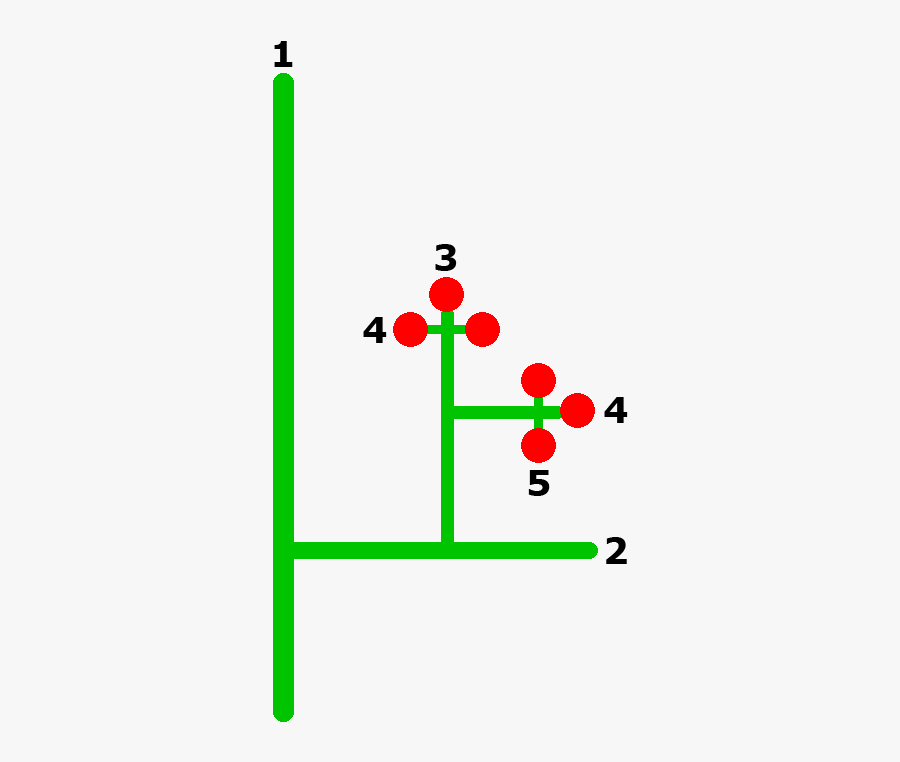 Cordyline Australis - Plant Stem, Transparent Clipart