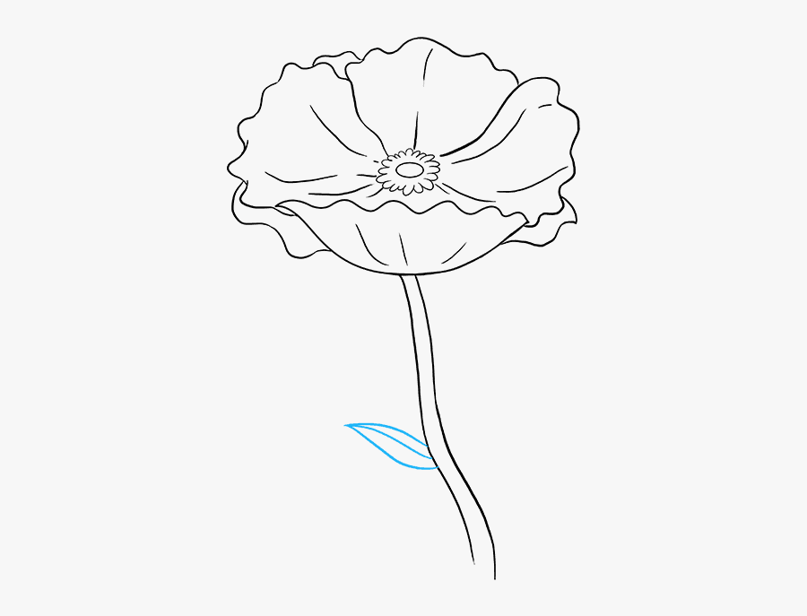 How To Draw Poppy, Transparent Clipart