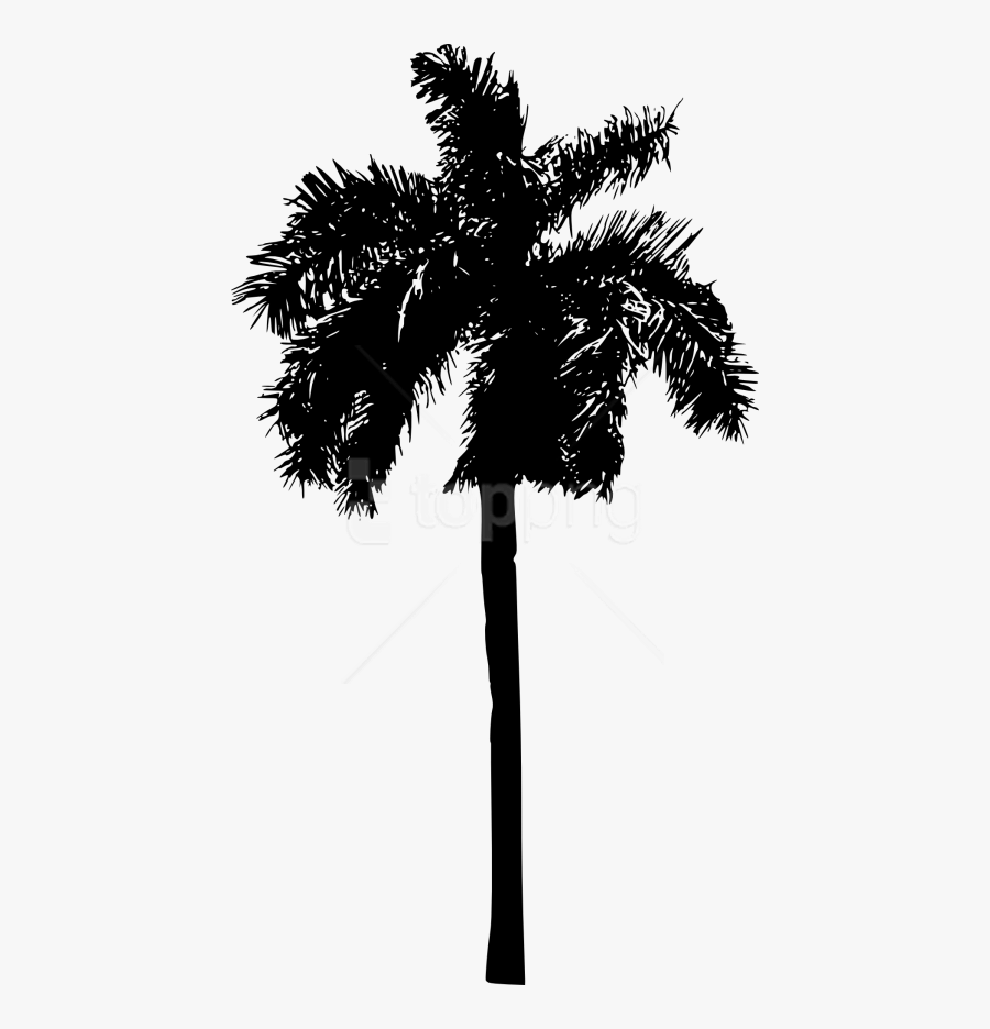 White Palm Tree Png - Palm Tree Silhouette Png Transparent, Transparent Clipart