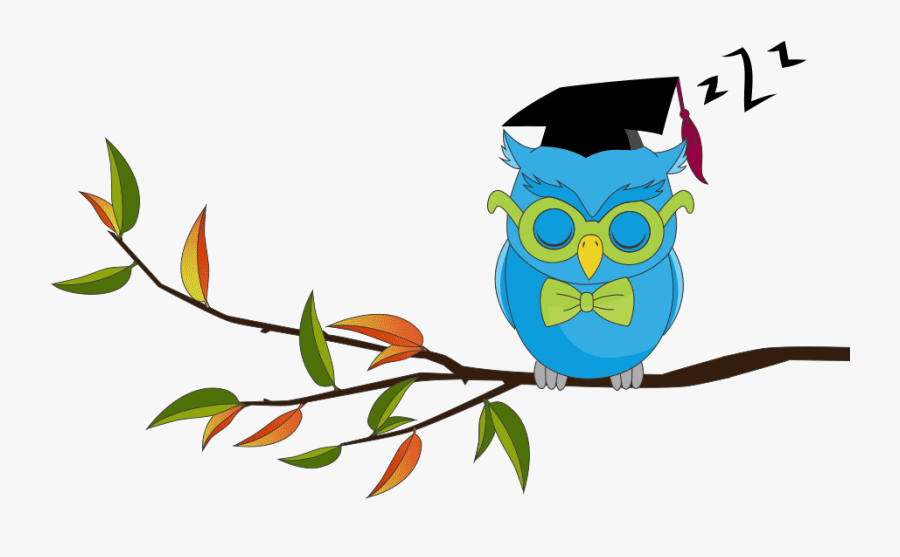 Wise Owl Animated Gif - Reading Animated Gif Transparent, Transparent Clipart