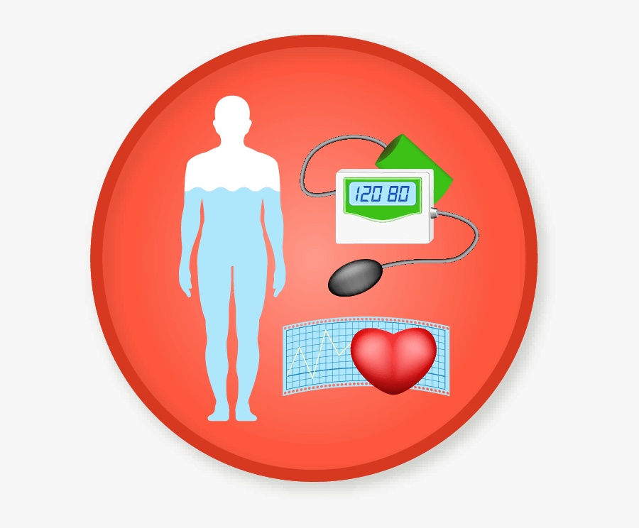 Graphic Design, Transparent Clipart