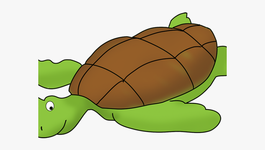 Sea Turtle Clipart Transparent, Transparent Clipart