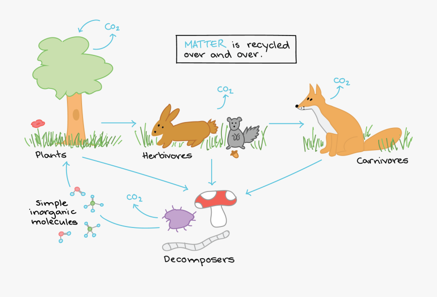 Transparent Non Living Things Clipart - Drawing Of Energy Flow, Transparent Clipart