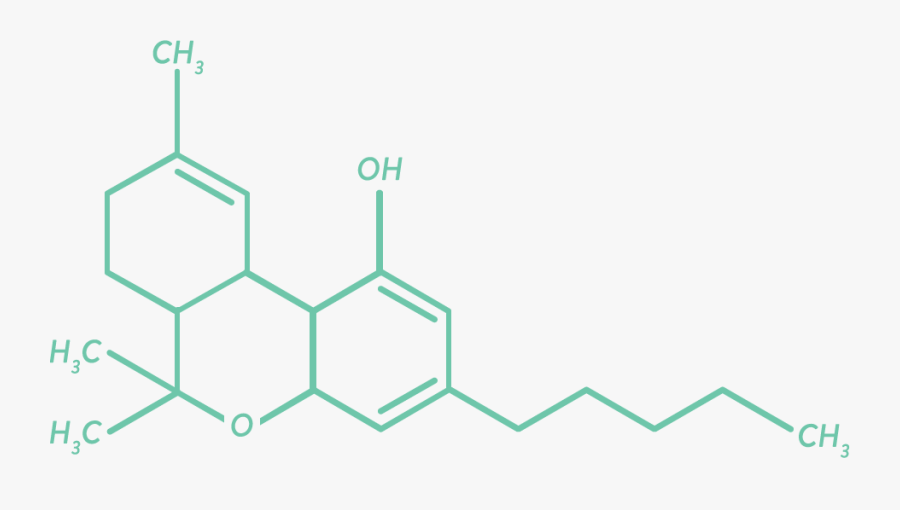 3 5 Dichloro 1 Methyl Benzene, Transparent Clipart