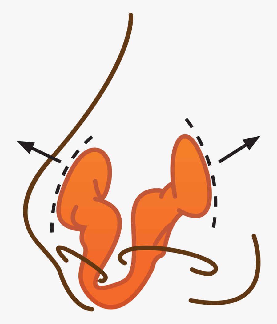 Buy Airmax Snoring Nasal - Illustration, Transparent Clipart