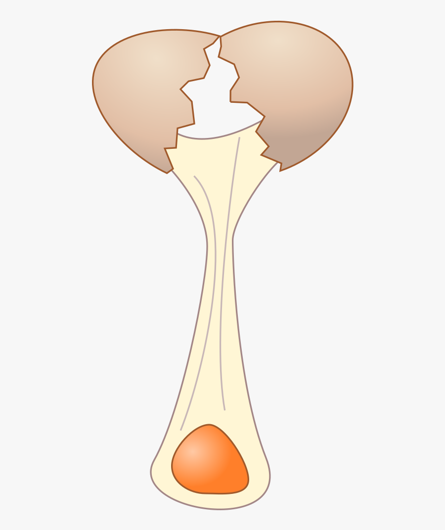 Gambar Animasi Telur Pecah, Transparent Clipart