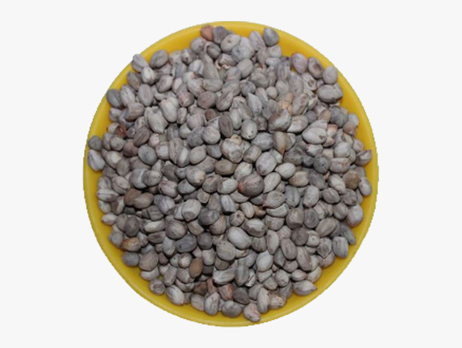 Clip Art Boiling Watermelon Seeds - Pebble, Transparent Clipart