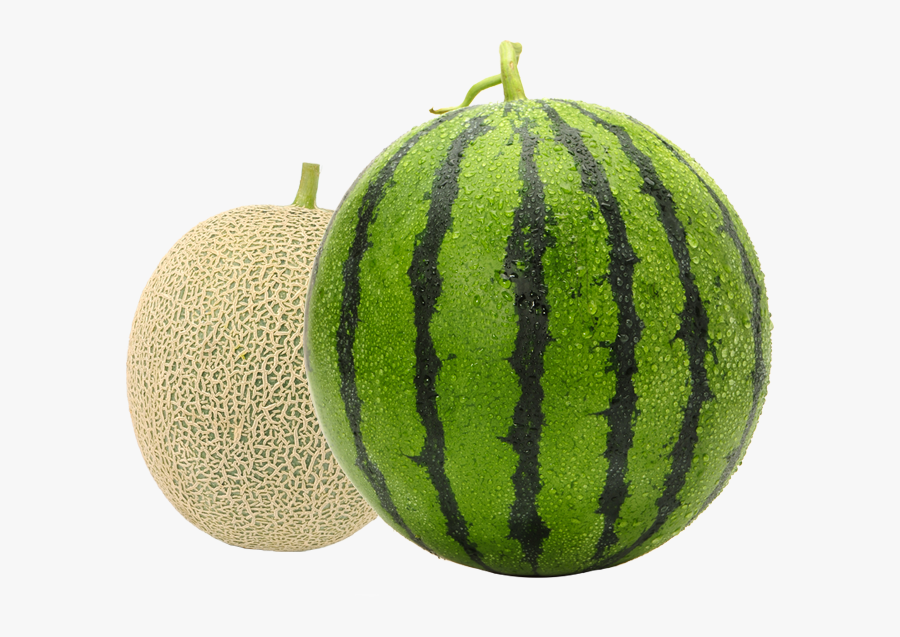 Mello Watermelon And Cantaloupe - Watermelon, Transparent Clipart