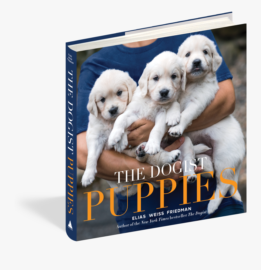 Clip Art The Dogist Workman Publishing - Dogist Puppies, Transparent Clipart