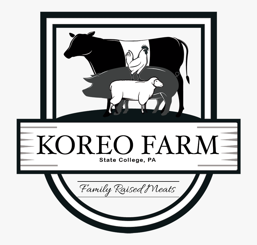 Horse, Transparent Clipart