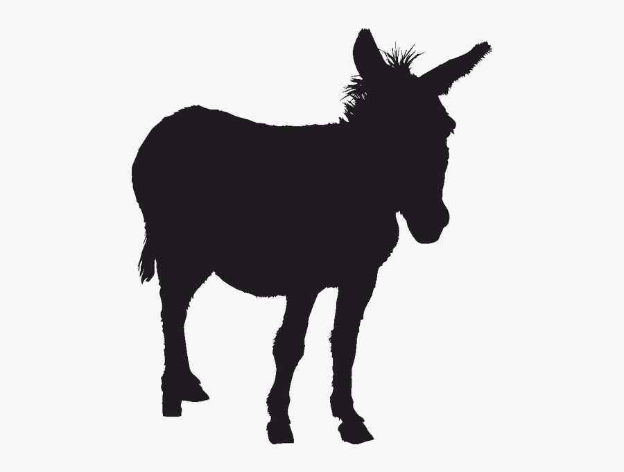 Donkey Silhouette Clip Art - Silhouette Of A Donkey, Transparent Clipart