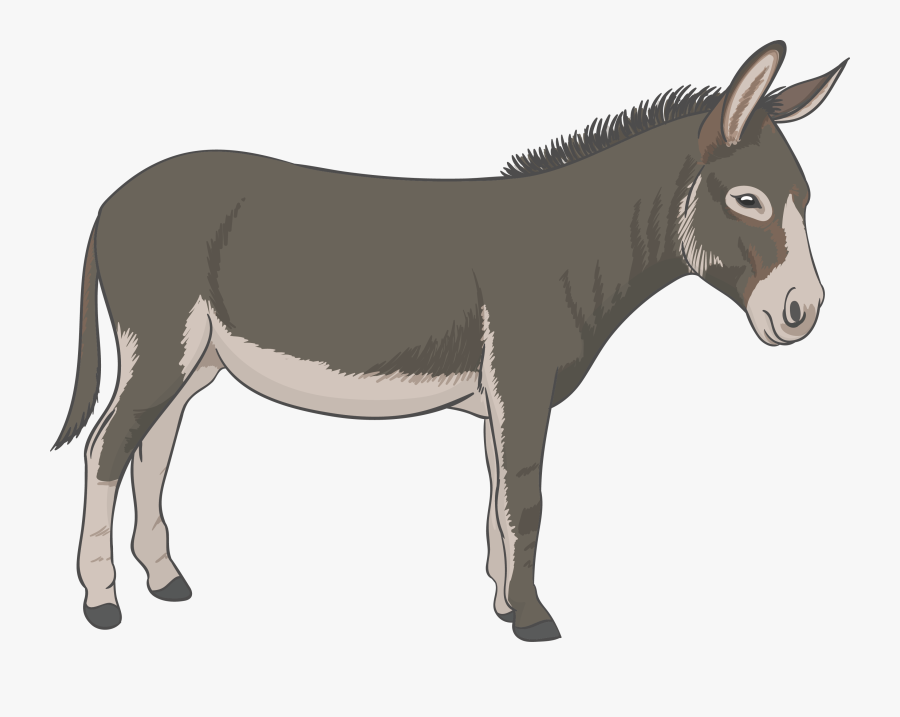 Vector Png Download Free - Donkey Png, Transparent Clipart