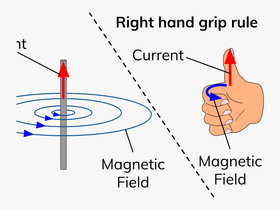 Circle, Transparent Clipart