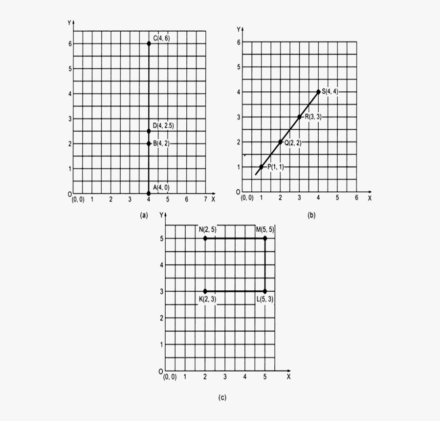 Graph Paper Plot Points - Rectangle Cake Cutting Guide, Transparent Clipart
