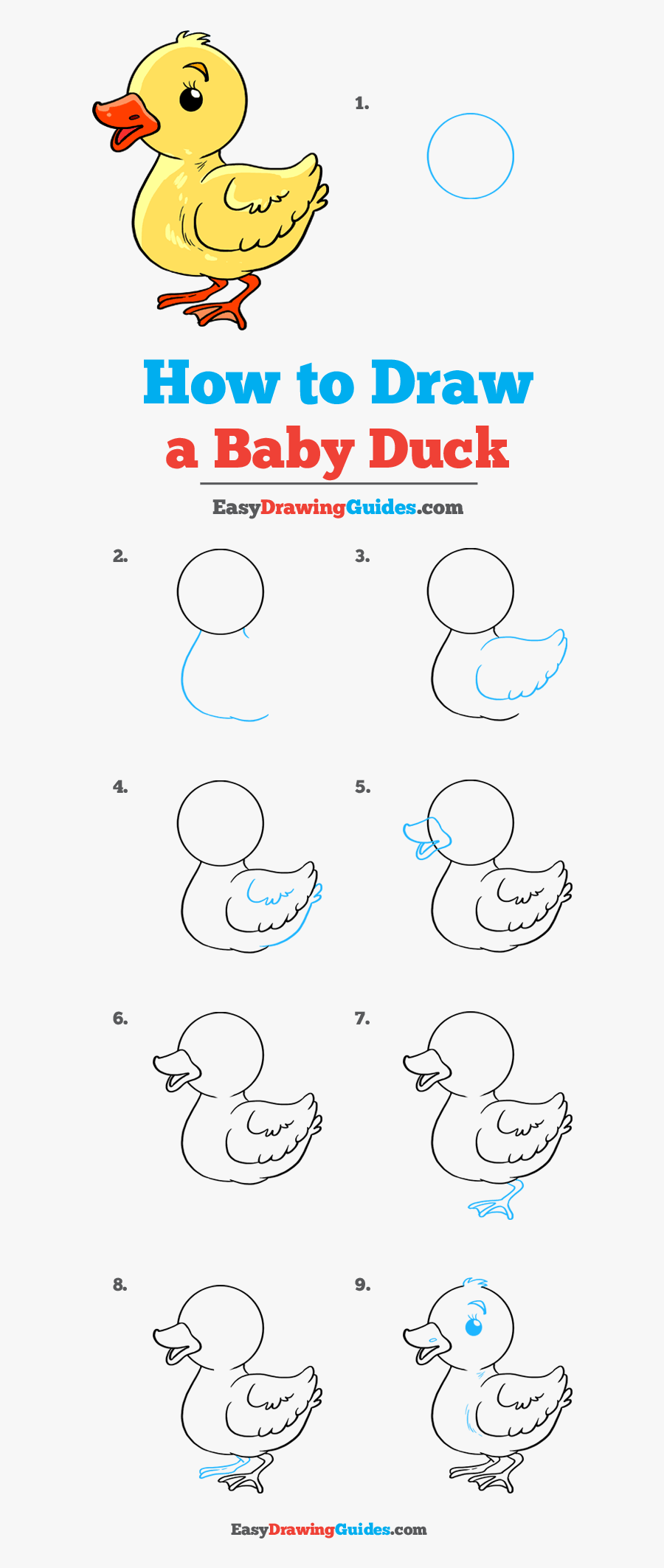 How To Draw Baby Duck - Drawing Easy Arctic Fox, Transparent Clipart