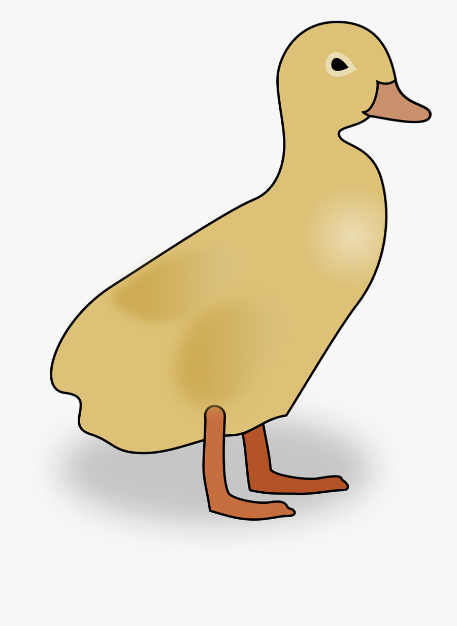 Duckling Duck Baby Free Picture - Hình Ảnh Con Vịt, Transparent Clipart