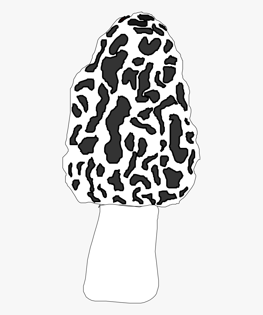 Morel - Morel Mushroom Clipart, Transparent Clipart