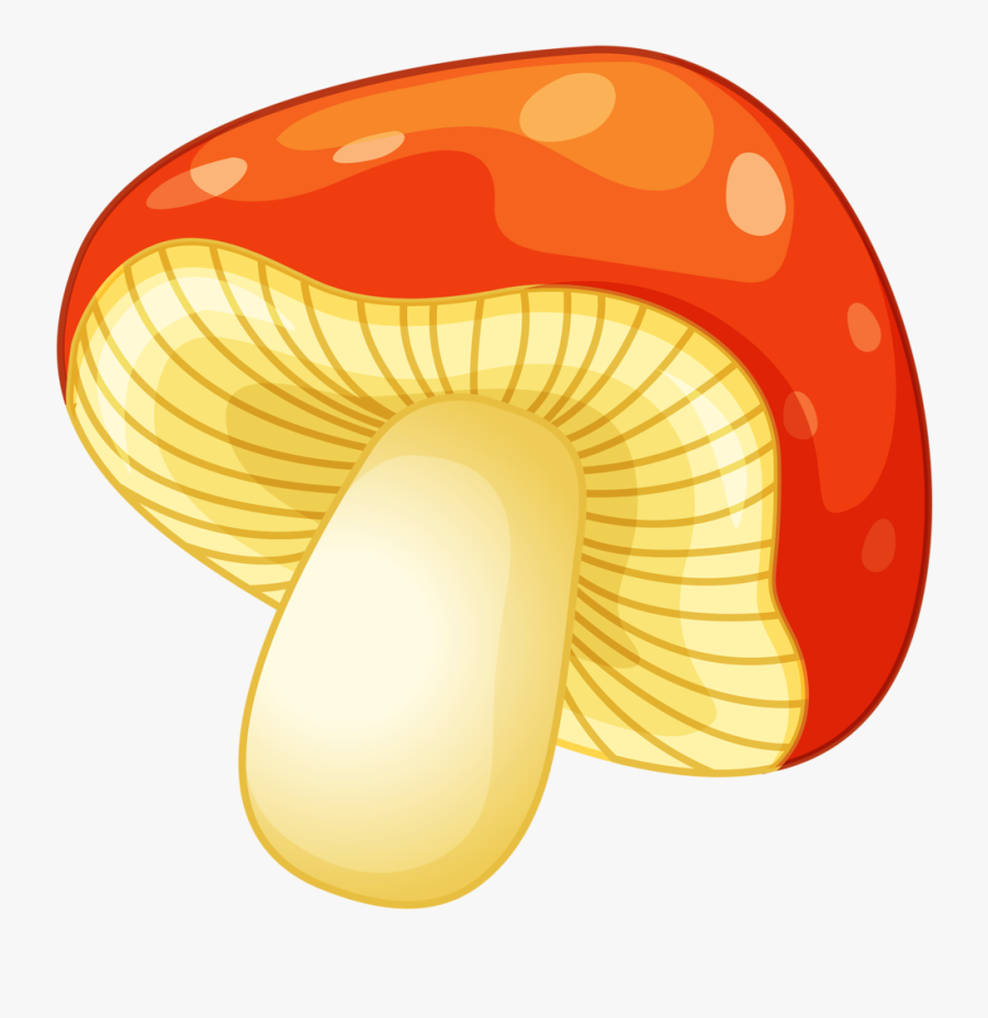 Фото, Автор Cutepictures На Яндекс , Transparent Cartoons, Transparent Clipart