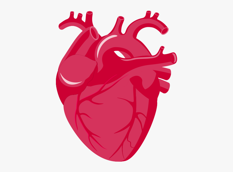 Rate Clipart Heart Failure - Illustration, Transparent Clipart