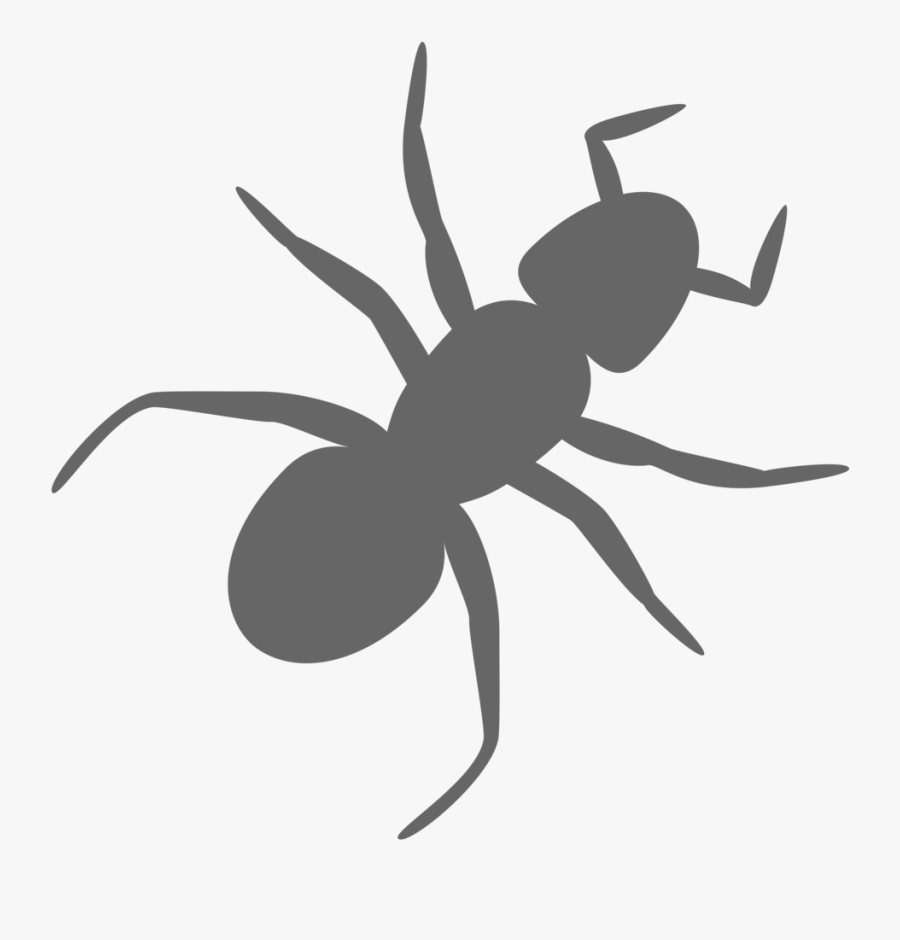 Collection Of Transparent - Ant Clip Art, Transparent Clipart