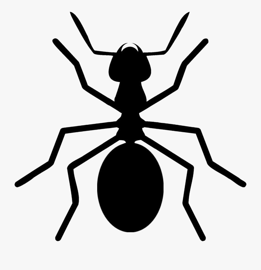 Sad Clipart Ant - Ants, Transparent Clipart