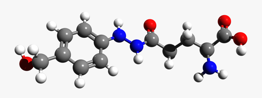 Ball And Stick Model Of Agaritine 2 Amino) - Structure, Transparent Clipart