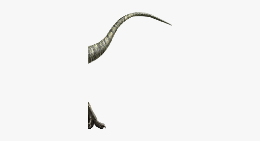 Imágenes De Velociraptor Real, Transparent Clipart